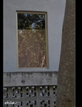 DSC 4534