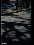 DSC 4538