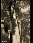 DSC 4547