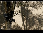 DSC 4548