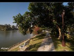 DSC_0947.jpg