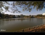 DSC_0949.jpg