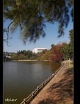 DSC_0950.jpg