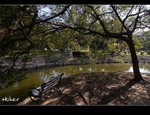 DSC_0951.jpg