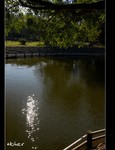 DSC_0957.jpg