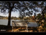 DSC_0964.jpg