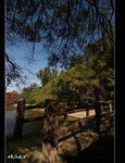 DSC_0966.jpg