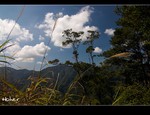 DSC_0009.jpg
