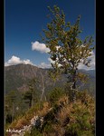 DSC_0020.jpg