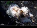 DSC_0024.jpg