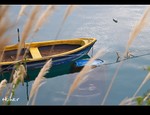 DSC_5872.jpg