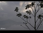 DSC_5882.jpg
