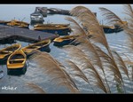 DSC_5885.jpg