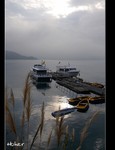 DSC_5890.jpg