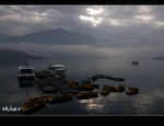DSC_5910.jpg