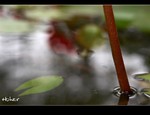 DSC 5179