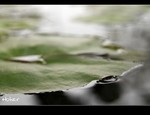 DSC 5181