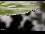 DSC 5186