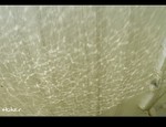 DSC 5196