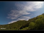 DSC 8915