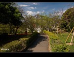 DSC 8917