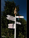 DSC 8918