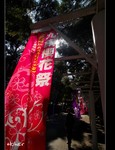 DSC 8919