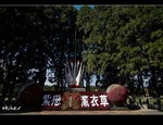 DSC 8923