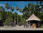 DSC 8924