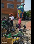 DSC 0445