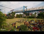 DSC 0446