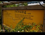 DSC 0449