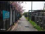 DSC 0452
