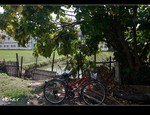 DSC 0458