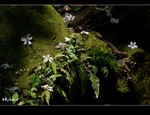 DSC 0019