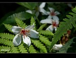 DSC 0024