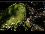 DSC 0036