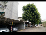 DSC 3766