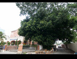 DSC 3769