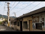 DSC 5440