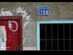 DSC 5441