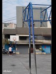 DSC 5443