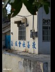 DSC 5444