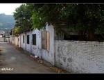 DSC 5445