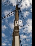 DSC 5449