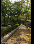 DSC 8758