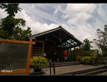 DSC 0356
