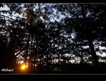 DSC 5780