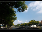 �ʭ��ۤ��G �䥦������
