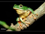 DSC_5567.jpg
